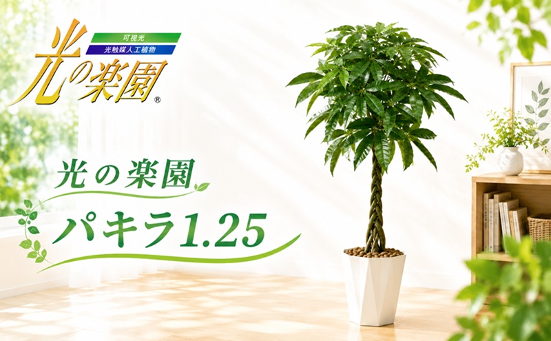 光の楽園　パキラ1.25【配送不可：北海道・沖縄・離島】 雑貨 日用品 植物 造花