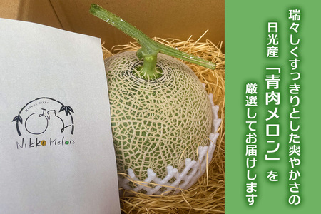 関根農園の日光産「青肉メロン」1玉【2026年9月初旬より順次発送】｜先行予約 メロン 果物 くだもの フルーツ スイーツ 青肉 日光市産 栃木県産 国産 [0851]