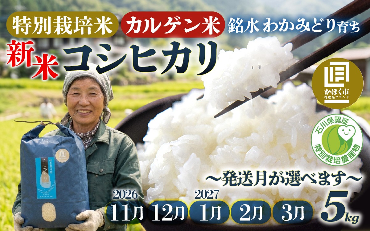
                  【11月～3月発送】【令和8年産 新米】若緑産 特別栽培米「こしひかり」 5kg  /  令和8年産 米 単一原料米 コシヒカリ 国産 こめ コメ 白米 食品 常温 ご飯 お取り寄せ
                