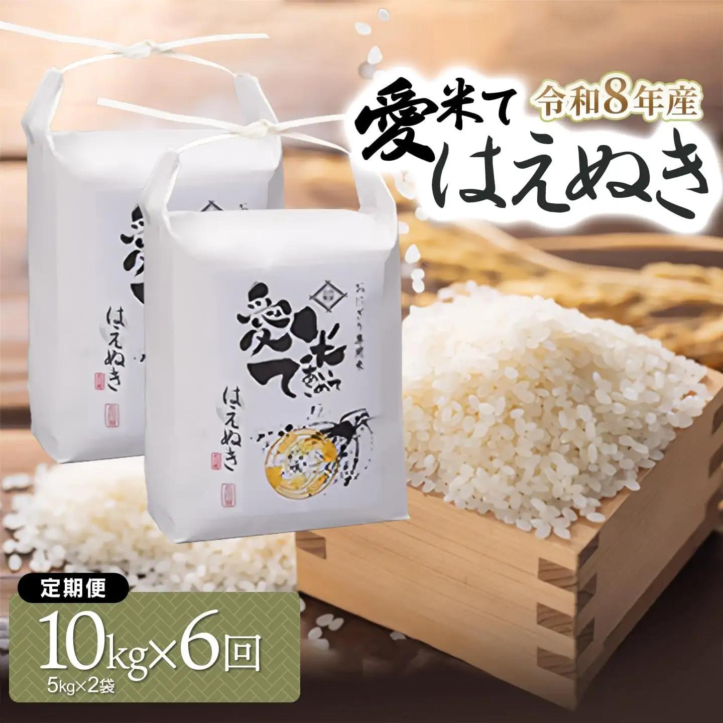 【令和8年産先行予約】【6ヶ月定期便】 はえぬき　精米 10kg(5kg×2袋) × 6ヶ月　山形県鶴岡市産　愛米て　| 米 こめ コメ 10キロ ブランド米 庄内米 ごはん ご飯 美味しい 国産 おにぎり 農家直送 おすすめ 人気 お取り寄せ 返礼品