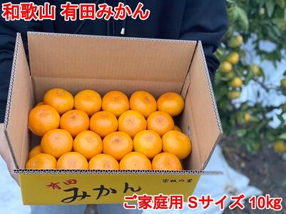 ［ご家庭用・サイズＳ］和歌山有田産！早生みかん≪10kg≫［予約販売］［数量限定］まる隆果樹園