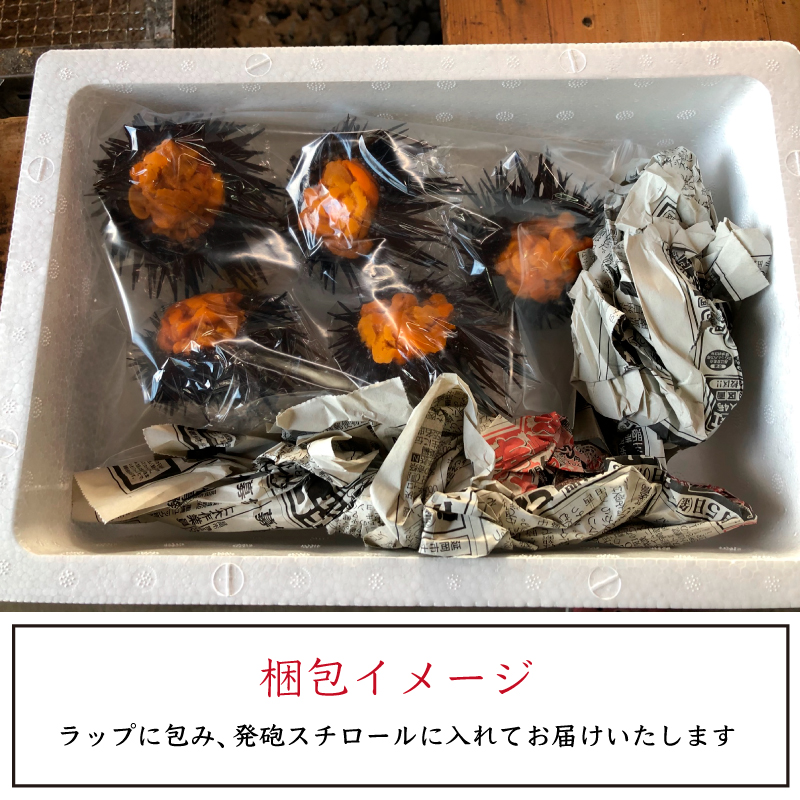 日豊海岸どれ延岡産天然ウニ（5個） N014-YZB529_イメージ4