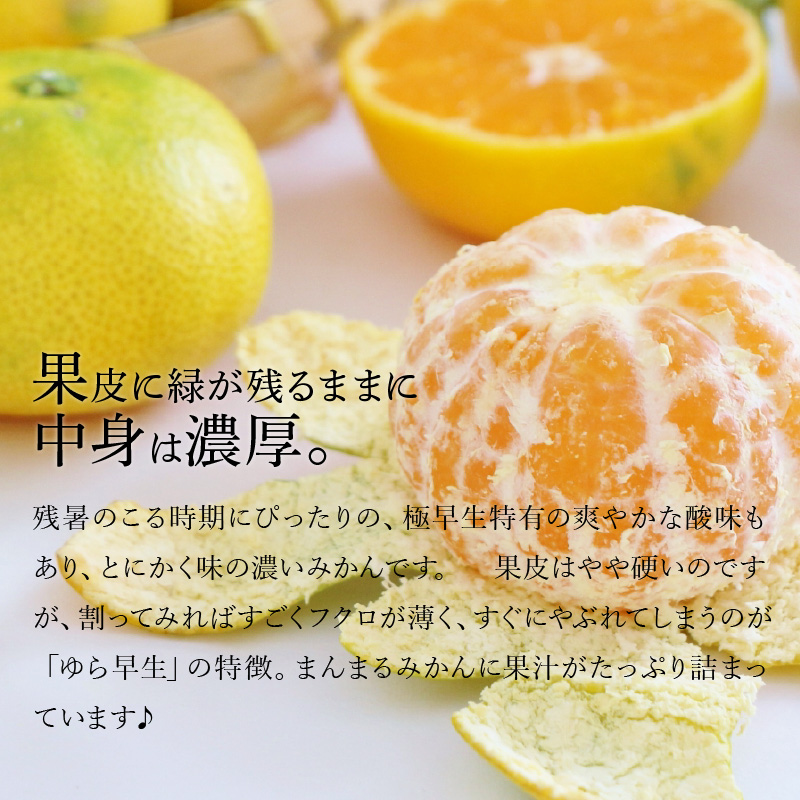 【ふるさと納税】【配送不可地域：北海道・沖縄県・離島】三豊市産　極上【ゆら早生みかん　約5ｋｇ】S〜Mサイズ  秋 旬