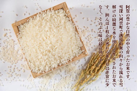 《先行予約》＜定期便3回＞ 米 5kg 新潟県産 コシヒカリ 「東蒲幻米」 令和6年産 特別栽培 奥阿賀 5kg × 1袋  | 白米 精米 こしひかり 送料無料 お取り寄せ お米 最高金賞受賞 ※2