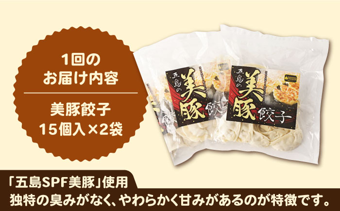 【全3回定期便】美豚ちゃんと餃子のバラエティセット（3種×2袋 計6袋詰合せ）【長崎フードサービス】 [PEL028]