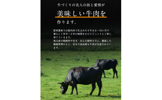 【6ヶ月定期便】【A5ランク】くまもと黒毛和牛 すき焼き用 400g KAM Brewing《お申込み月の翌月から出荷開始》---so_fkmkgsktei_23_129000_mo6num1---