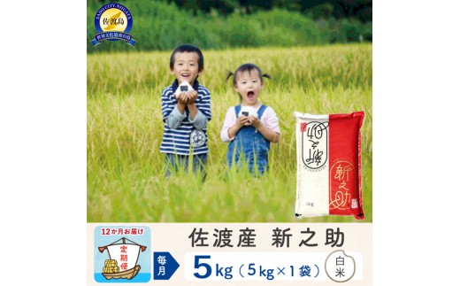 
            【新米予約 12か月定期便】佐渡島産 新之助 白米5Kg 令和7年
          