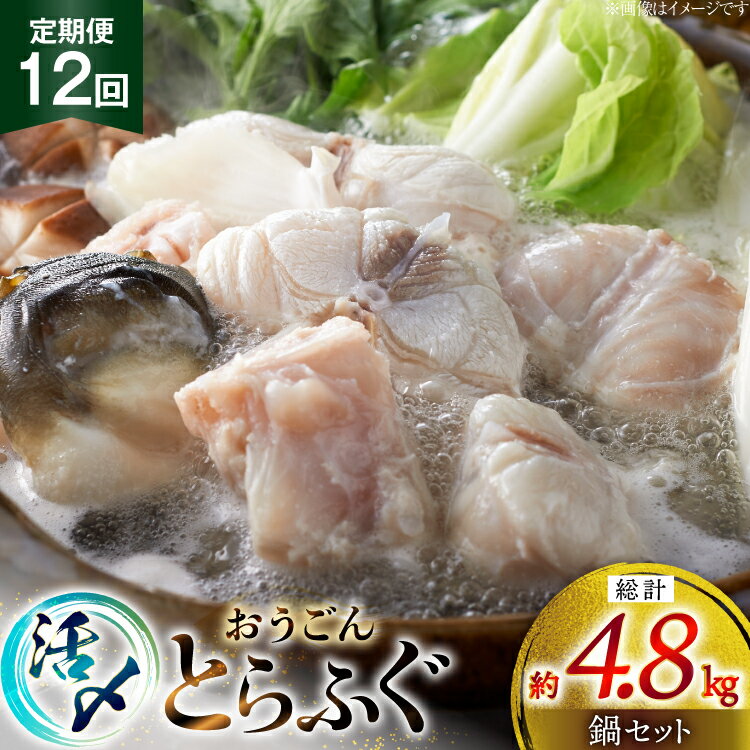 【ふるさと納税】ふぐ 鍋 セット 活〆 おうごんとらふぐ 鍋セット 約400g 12回 定期便 総計 約4.8kg [松永水産 長崎県 平戸市 hr42bgy400160] とらふぐ フグ 河豚 てっちり ふぐちり ふぐ料理 魚介 さかな 切り身 冷凍 海鮮 ふぐ鍋 唐揚げ ポン酢