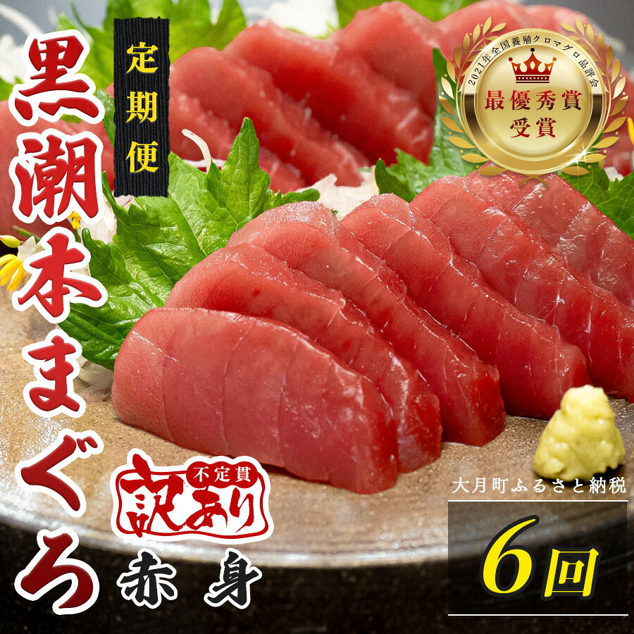 【ふるさと納税】 訳あり 不定貫 定期便 6回 国産 養殖本マグロ 赤身 毎回120g×6回 黒潮本まぐろ 最優秀賞受賞 6ヶ月 6か月 半年 柵 刺身用 本マグロ 本鮪 鮪 まぐろ お刺身 さしみ 海鮮丼 漬け丼 手巻き寿司 まぐろ丼 鉄火丼 4万円