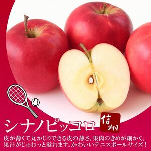 ＜26年９月下旬頃～発送 先行予約＞長野県産 りんご シナノピッコロ 訳あり 約3kg リンゴ 旬 フルーツ 訳アリ 林檎 果物 規格外 自家用 産地直送 農園 産直 お取り寄せ もぎたて 採れたて 