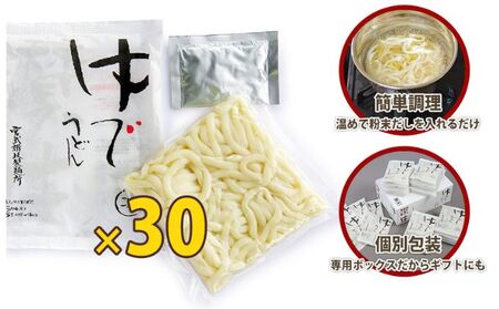 讃岐うどん ゆで麺 30人前 出汁付き うどん