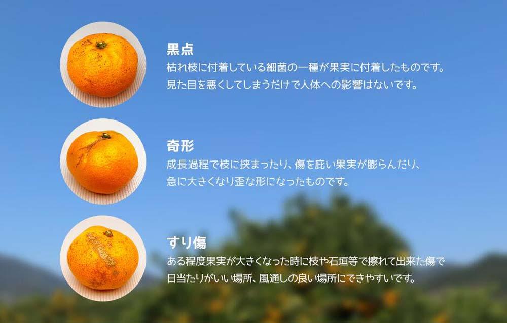 みかん 大玉 どっこいしょ 箱込 10kg ( 内容量約 9.2kg ) 2Lサイズ以上 秀品 優品 混合 有田みかん 和歌山県産 産地直送 家庭用【みかんの会】 AX220_イメージ4