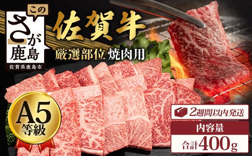 
                  【配送月を選べる】A5等級 佐賀牛 焼肉用 400g 厳選部位 牛肉 肉 黒毛和牛 和牛 焼肉 焼き肉 焼肉セット ロース モモ ウデ バラ ブランド牛 A5ランク a5 佐賀県 鹿島市 B-616
                
