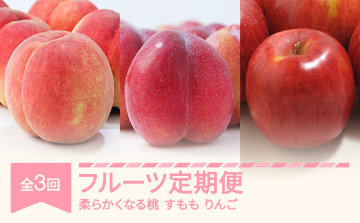 【先行予約】フルーツ定期便 全3回 白桃 すもも りんご 秀品 2026年産 令和8年産 ※沖縄・離島への配送不可 sb-fthpl3-b