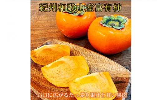 
                  【ご家庭用わけあり】和歌山秋の味覚 富有柿 約7.5kg ※2025年11月上旬～12月上旬頃に順次発送予定
                
