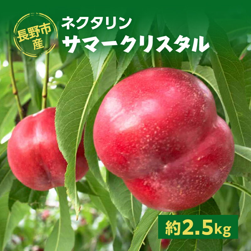 【ふるさと納税】長野市産ネクタリン「サマークリスタル」約2.5kg 　お届け：2025年7月上旬～中旬
