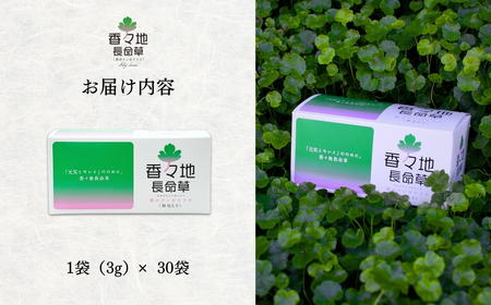 香々地長命草パウダー（3g×30包入）|　青汁　香々地ベジファーム　豊後高田市