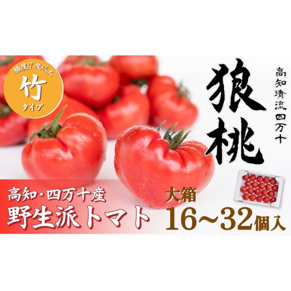 【ふるさと納税】【先行予約／2027年2月下旬から発送】四万十育ち「狼桃」 糖度7度以上 竹タイプ 大箱（16～32個入） Fdf-B11 フルーツトマト 贈答 ギフト プレゼント トマト とまと 野菜 数量限定 期間限定 数量限定
