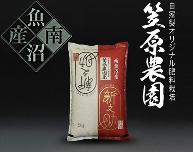 【令和７年産】南魚沼産 笠原農園米 新之助 5kg
