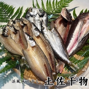 M215 冷蔵！天日干し 手作り干物詰め合わせ地魚セット 無添加土佐干物 期間限定品