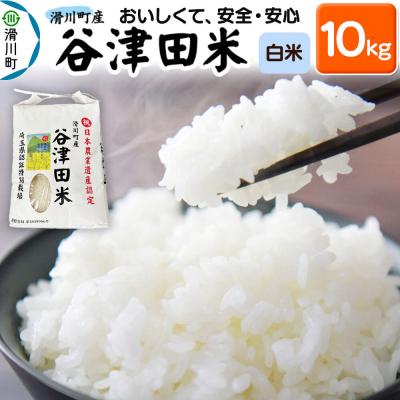 ふるさと納税 滑川町 白米 埼玉県滑川産のお米 谷津田米 10kg 令和7年産|19_nym-011001h
