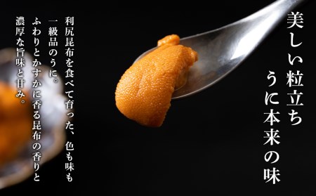 【2025年6月より発送】赤利尻　生うに　花塩水「煌」 海鮮 海産物 魚介類 うに 冷蔵