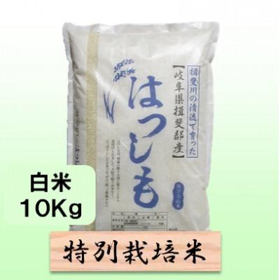 ふるさと納税 池田町 【令和7年産】特別栽培米 10kg【白米】(ハツシモ)