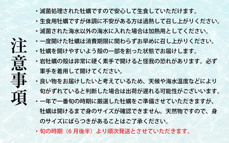 【先行予約】【加福鮮魚】若狭湾　生食用　天然岩牡蠣　大3個（軍手、牡蠣ナイフ付き）【2025年6月下旬より順次発送】