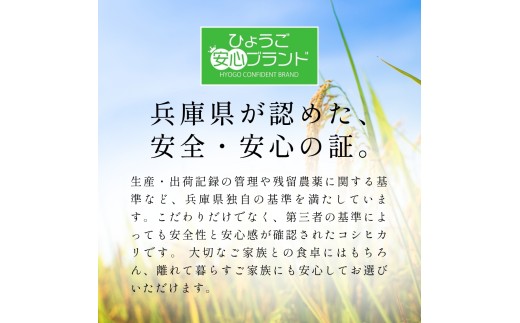 〈スピード発送〉新米 丹波産 〈低農薬 80%減〉特別栽培米 コシヒカリ 20kg（5kg×4袋）精米 丹波市 こしひかり 一等米 特A こめ 米 コメ ブランド米 兵庫県