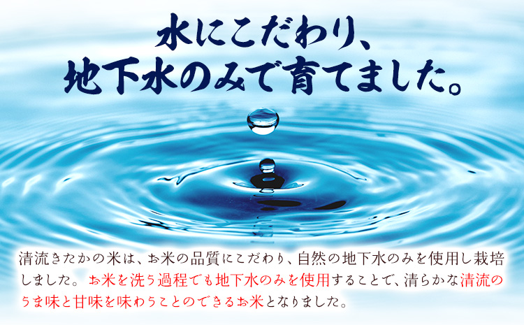令和7年産 新米 無洗米 清流きたかの米 5kg 《1月出荷予定》熊本県産 無洗米 白米 精米 氷川町 送料無料コメ 便利 ブランド米 お米 おこめ 熊本 SDGs---hkw_ktkn7_ac1_r