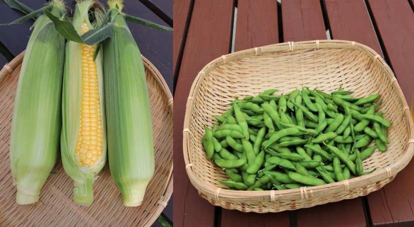 
            枝豆（１ｋｇ）とトウモロコシ(１０本)のセット
          