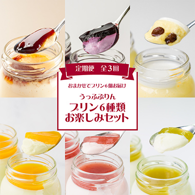 
                  【発送月固定定期便】うっふぷりんのプリン6種類お楽しみセット全3回【4011325】
                