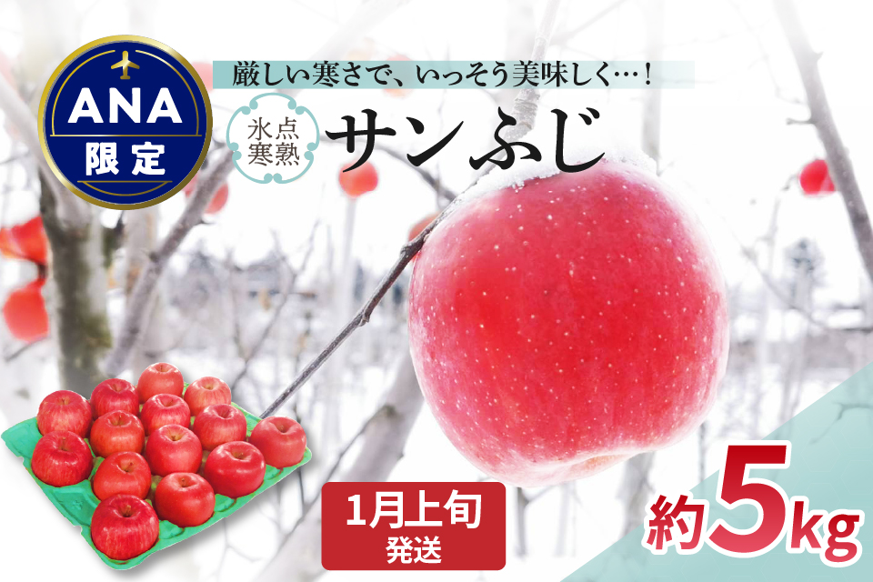 【ANA限定】【2025年1月上旬発送】 りんご 約5kg サンふじ 〈氷点寒熟〉青森県産