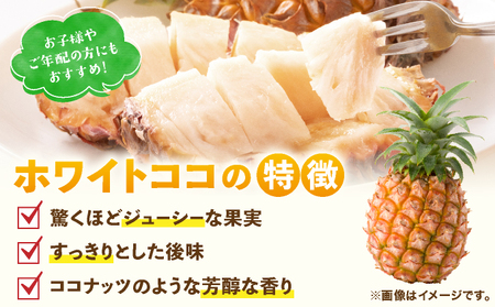 ≪6月上旬順次発送≫ 石垣島産パイナップル　ホワイトココ　3玉（約3kg）TP-13