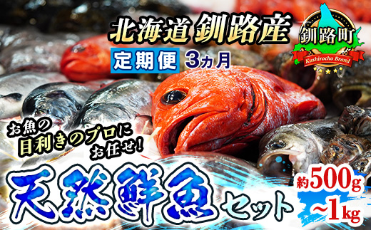 121-1262-142-002　【定期便 3ケ月連続】 お魚の目利きのプロにお任せ！北海道産（国産） 天然 鮮魚 約500g～1kg（釧路の鮮魚セット）