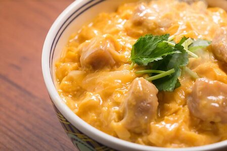 【吉野家】親子丼の具（10袋入り）※冷凍便の対象外のため、離島への配送はできません。ご了承ください。｜ 親子丼 吉野家 レトルト 冷凍 冷食 備蓄 電子レンジ可 湯せん 仕送り ギフト 贈り物 一人暮