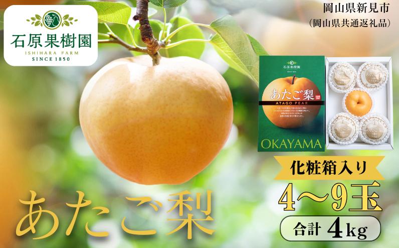 
            あたご梨 4kg 贈答 化粧箱 赤秀 4～9玉 【先行予約 2026年11月中旬から順次発送】
          