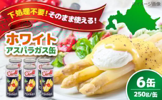 【北海道産】 ホワイトアスパラガス 6缶《喜茂別町》【きもべつ観光協会】 アスパラ アスパラガス ホワイトアスパラ 缶詰 缶 サラダ 北海道 常温 常温配送 [AJAG011] 20000 20000円 2万円