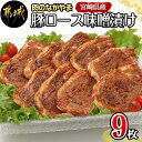 【ふるさと納税】宮崎県産豚ロース手作り味噌漬け9枚 - 豚肉 みそ漬け 豚ロース味噌漬け(100g×9枚) オリジナル手作り味噌漬け 豚 真空パック 冷凍保存可 送料無料 AA-2504【宮崎県都城市は2年連続ふるさと納税日本一！】