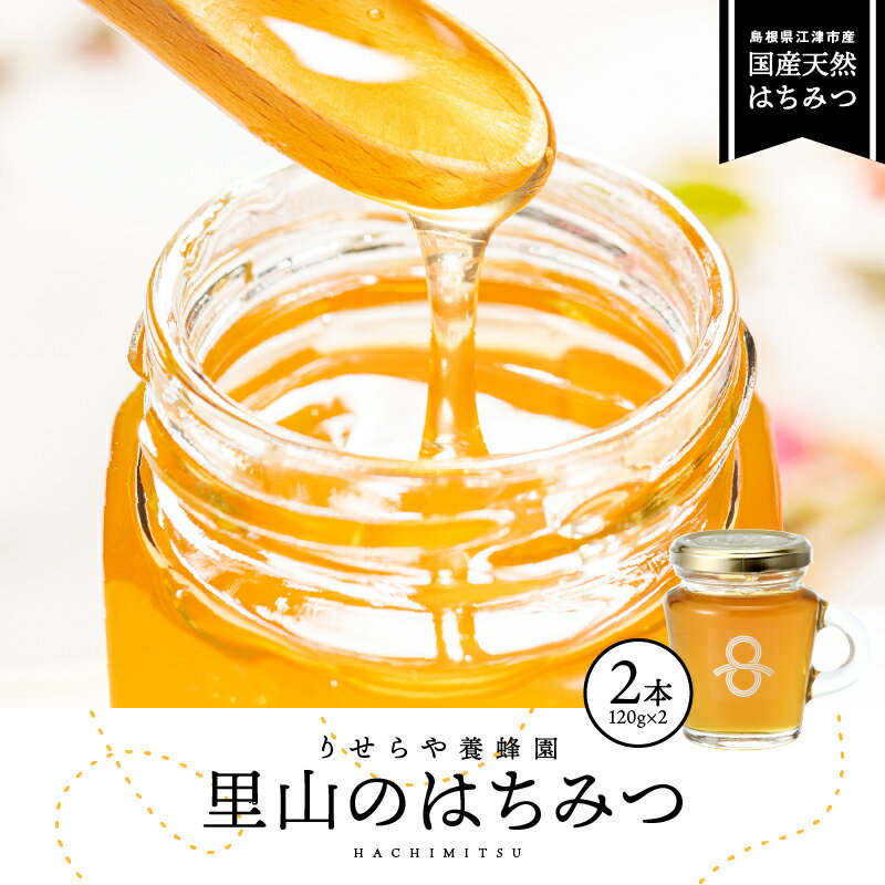 【ふるさと納税】里山のはちみつ(120g×2本)セット 計240g【RY-4】｜送料無料 国産 国産はちみつ 天然 はちみつ ハチミツ 蜂蜜 HONEY Honey ハニー 瓶 パン ハニートースト ホットケーキ ヨーグルト 料理 フルーティー プレゼント 贈答 贈り物 ギフト セット｜