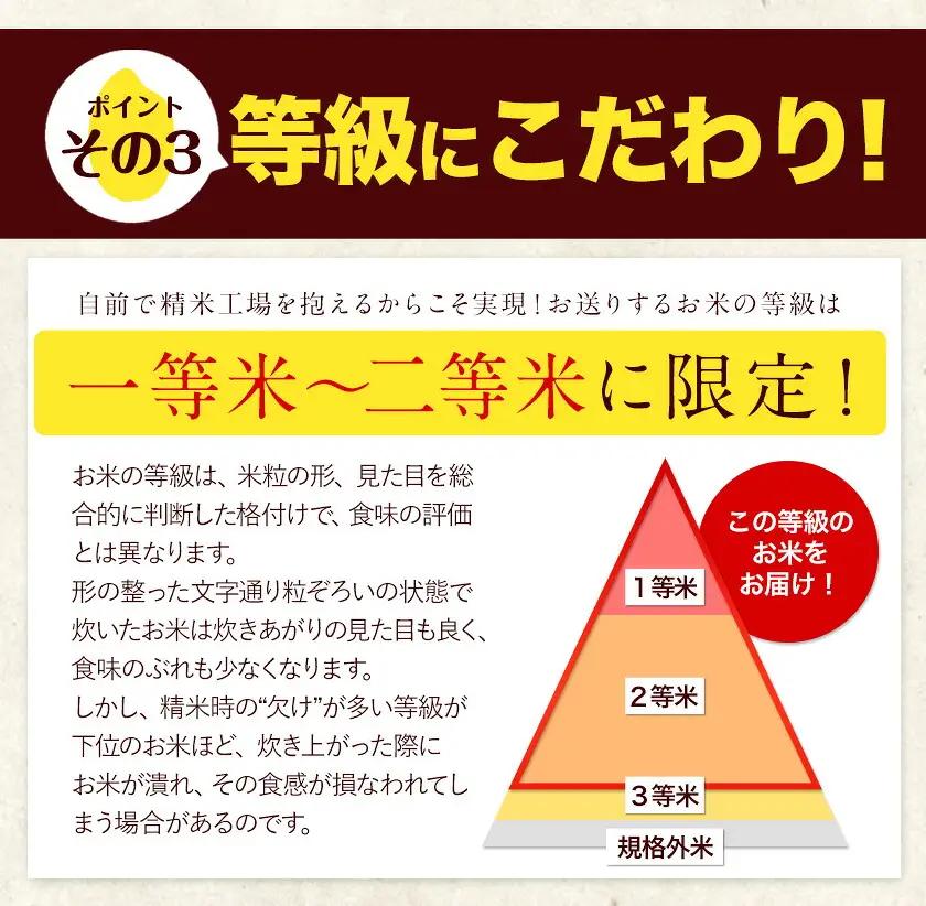 令和7年産 【隔月6回定期便】 無洗米 ひのひかり 20kg 無洗米