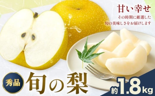 おまかせ梨 秀品 約1.8kg 日本フルーツ《8月上旬-10月末頃出荷》熊本県 長洲町 なし 梨 果物 フルーツ デザート ギフト ご贈答