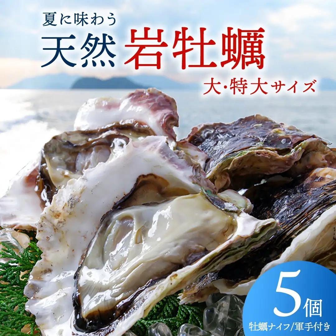 天然・生食可 大・特大サイズ 岩牡蠣 5個 瀬戸内産  《ナイフ・軍手付き》 産地直送