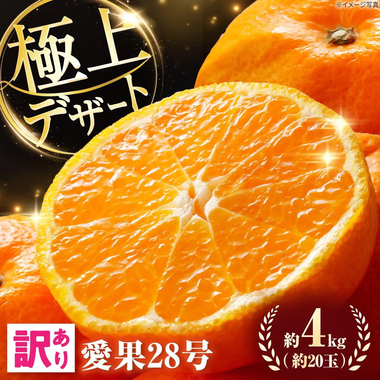 みかん 訳あり 愛果28号 サイズ不揃い 約4kg 約20玉【12月上旬から12月下旬まで順次発送】/ フルーツ 果物 蜜柑 ミカン オレンジ 訳あり 訳アリ 小玉 甘い 先行予約 4kg 愛媛 / 愛媛県砥部町/株式会社電子食品流通研究所[BJBL007]