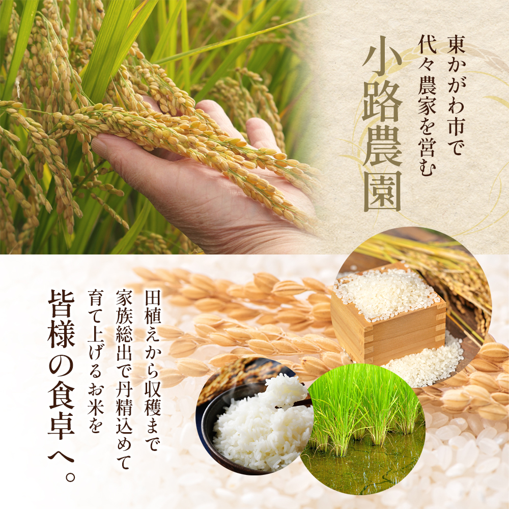 令和7年産　新米「コシヒカリ」30kg（玄米）お米 30kg