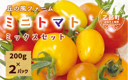 ＜丘の風ファーム ミニトマトミックス2個セット＞