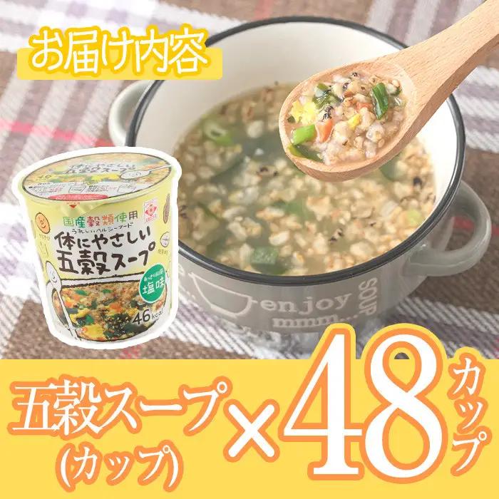 No.518 あっさり和風塩味♪カップ体にやさしい五穀スープ(13g×48個)国産 鹿児島 日置市 特産品 特産 インスタント 常備食 低カロリー ヘルシー 健康 玄米 黒豆 もち粟 もちきび 小豆 