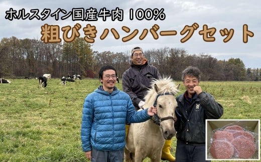 AN-0901 粗びきハンバーグ10個セット