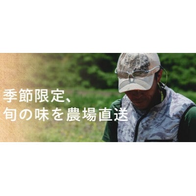 【フードロス対応・規格外】有機ジャガイモ 3kg　訳あり    季節限定(12～3月発送)【配送不可地域：離島・北海道・沖縄県】