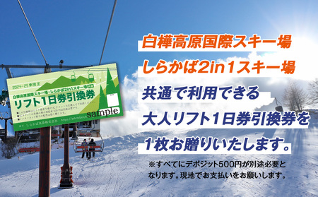 白樺高原国際スキー場・しらかば２in１スキー場大人共通リフト券